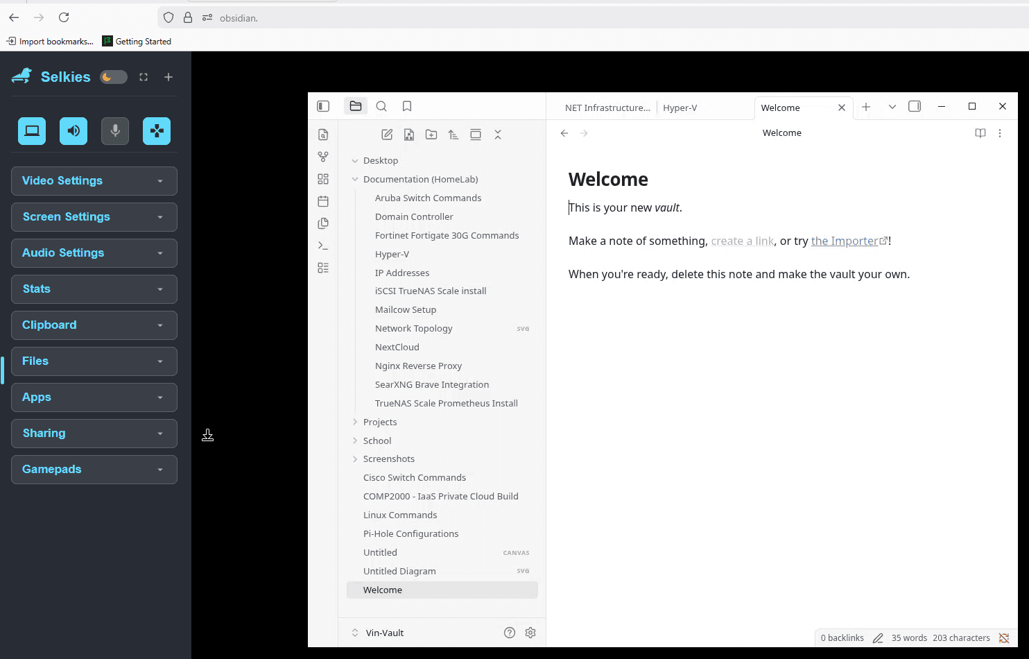 Selkies VNC is running Obsidian